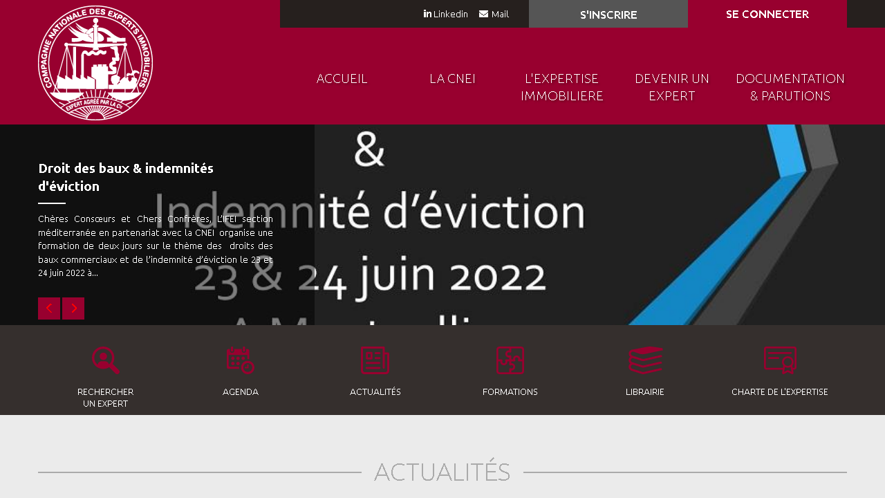 Capture d'écran de http://www.expert-cnei.com/ 